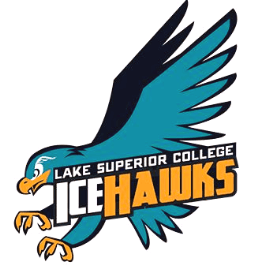 St. Luke's Teams up with Lake Superior College to Provide Athletic ...